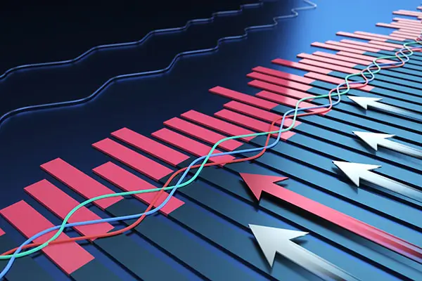 法律审批叫什么