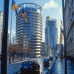 不可违背的约定叫什么法律